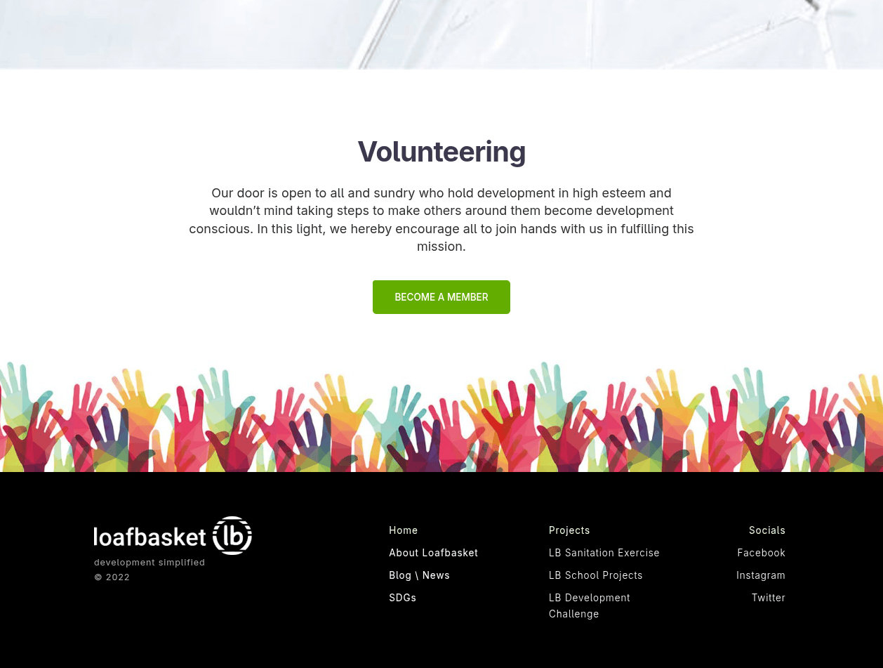 Solution: Brand identity and packaging system